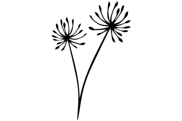 Simplicity in Design: A Silhouette of Two Dandelion Stems