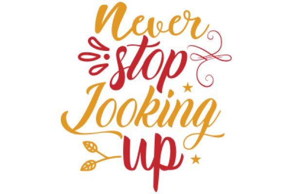 Empowerment: Never Stop Looking Up