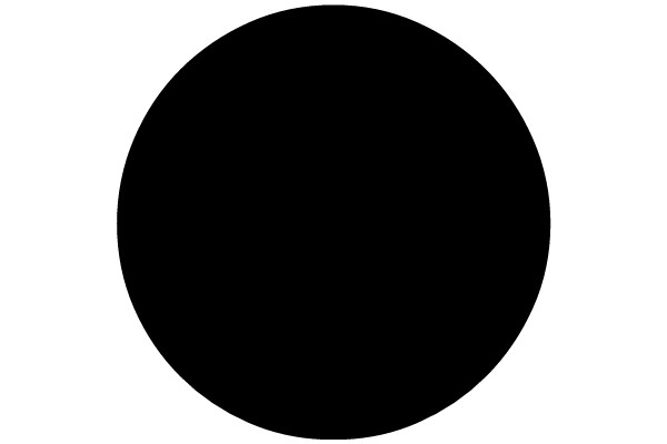 A Solid Black Circle on a White Background