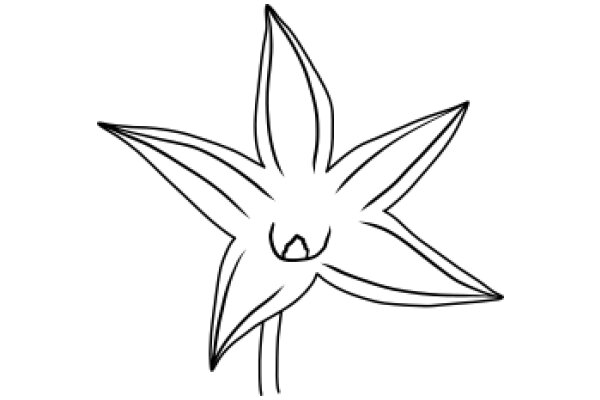 A Simple Line Drawing of a Star-like Shape