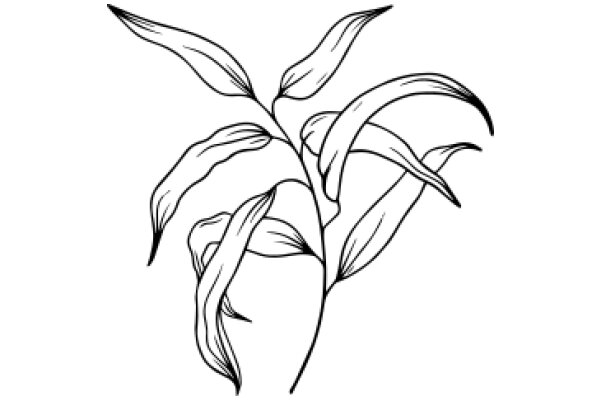 Elegant Line Drawing of a Flower