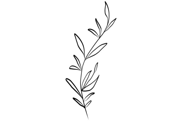 Simplistic Line Drawing of a Plant