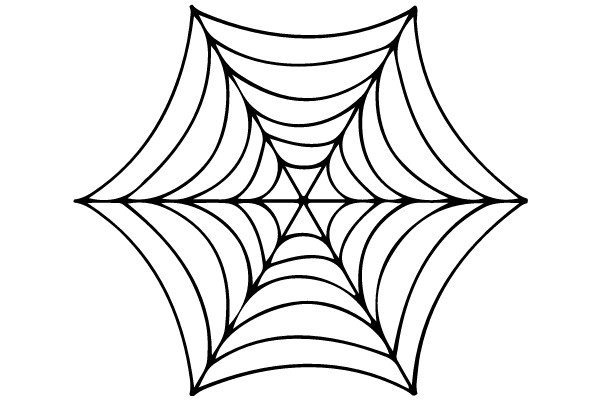 Spider Web Design