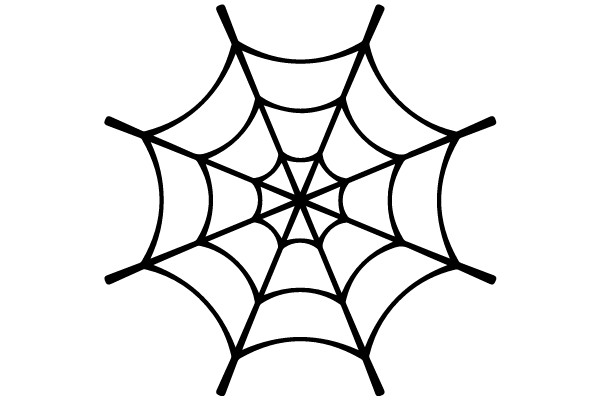 Spider Web Design