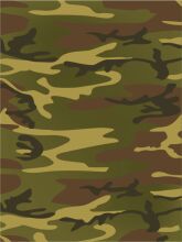 Camouflage Pattern: A Visual Guide to Understanding Camo