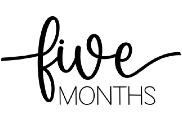 Five Months: A Visual Timeline of a Pregnancy Journey