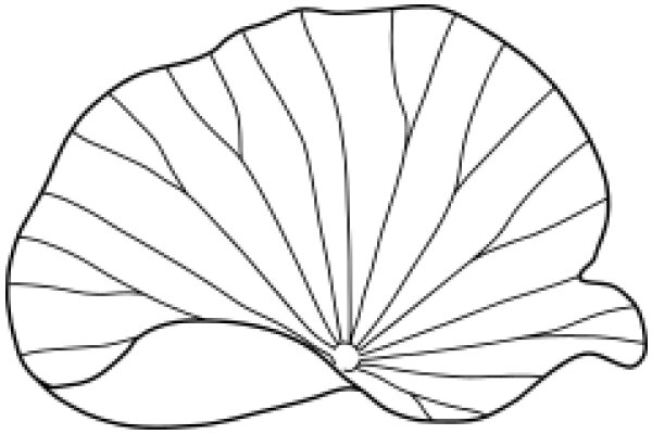 Stylized Artwork of a Sea Shell