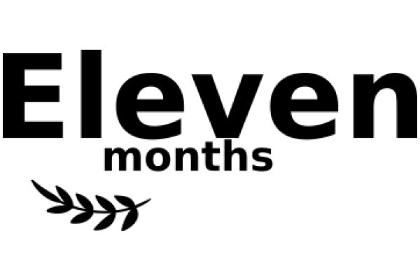 Eleven Months: A Visual Guide to the Year