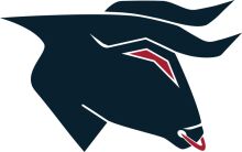 Stylized Bull Logo with Red Accent