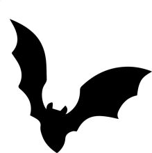 Silhouette of a Bat: A Symbol of the Night