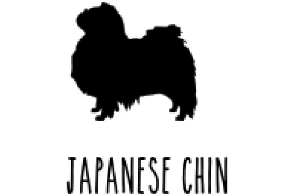 Japanese Chin: A Silhouette of a Silent Companion