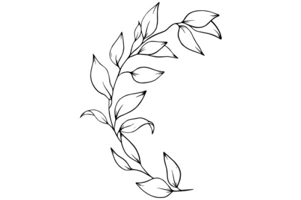 Elegant Line Drawing of a Flowering Plant