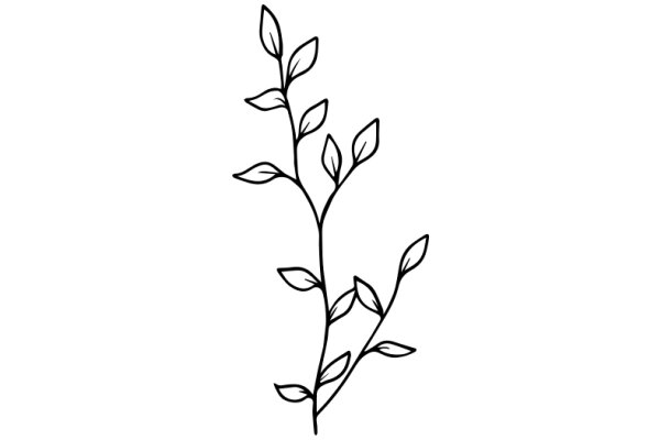 Simplistic Line Drawing of a Plant with Leaves