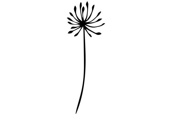 A Single Dandelion Seed in a White Background