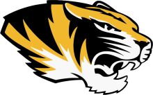 Stylized Tiger Logo with Yellow and Black Design