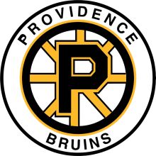 Providence Bruins: A Symbol of Team Spirit and Pride