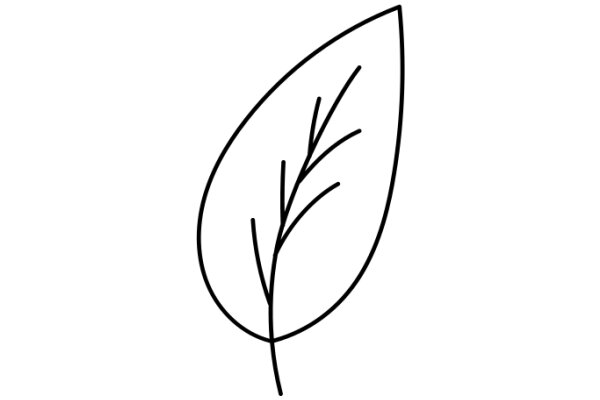 Simplistic Line Drawing of a Leaf