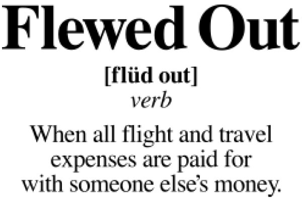 FLEWED OUT: A Humorous Take on Flight Expenses