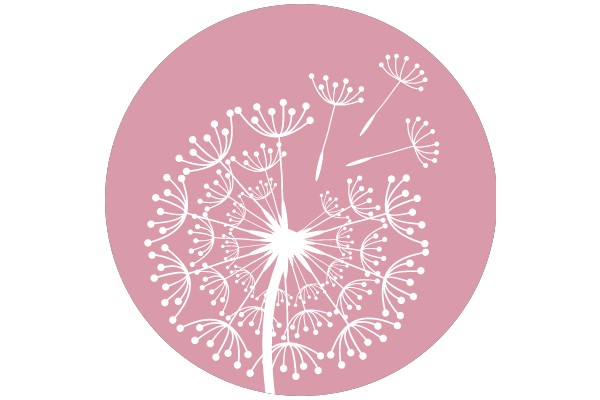 Whimsical Floral Design: A Collection of Dandelion Seed Heads