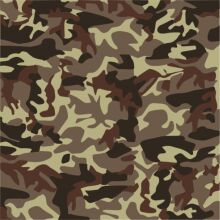 Camouflage Pattern: A Visual Guide to the Art of Disguise