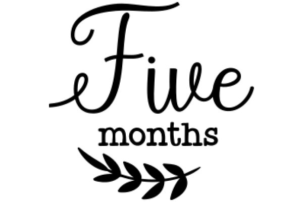 Five Months: A Graphic Design Project