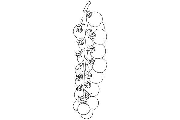 Line Drawing of a Tree with Fruit