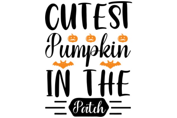 Cute Pumpkin Patch: The Best Place for Autumn Fun!