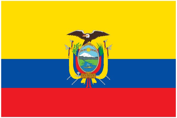 Vibrant Flag of Ecuador: A Symbol of National Pride