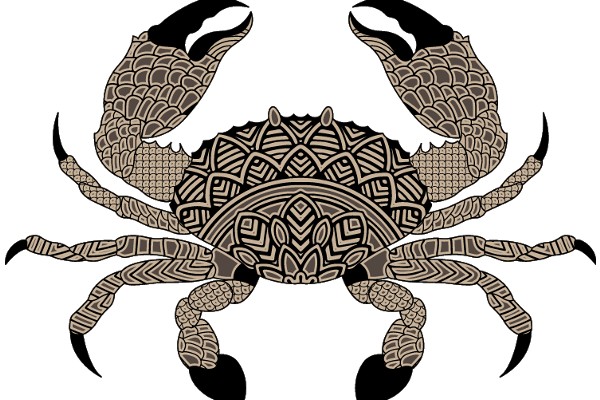 Stylized Lobster Illustration with Intricate Designs