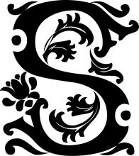 Stylized Letter 'S' with Intricate Designs and Patterns