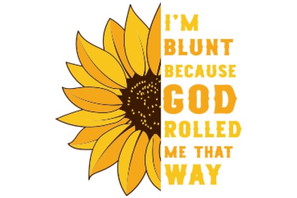 A Sunflower's Perspective on Life's Journey