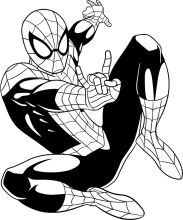 Spider-Man: The Black and White Illustration