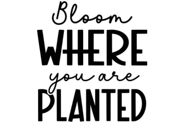 Bloom Where You Are Planted