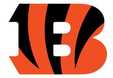 Stylized Cincinnati Bengals Logo