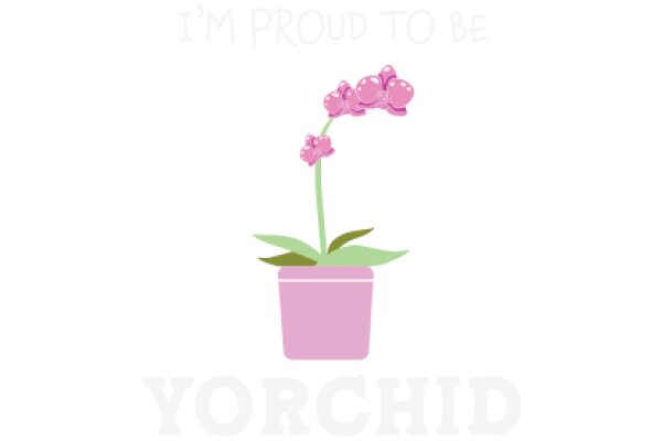 Celebrating Yorchid's Pride: A Pink Flower in a Pink Pot