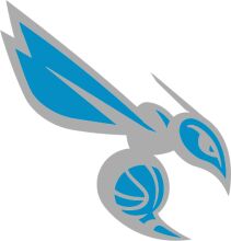 Stylized Blue and Silver Basketball Logo