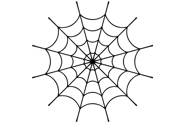 Spider Web Illustration