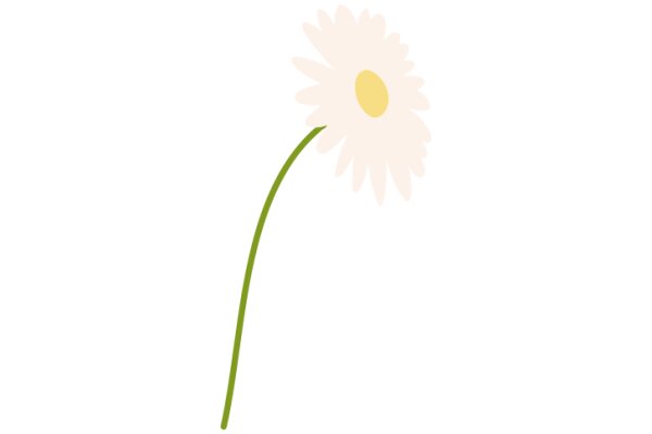 A Single Flower in a White Background