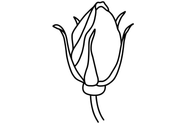 Simplistic Line Drawing of a Rose