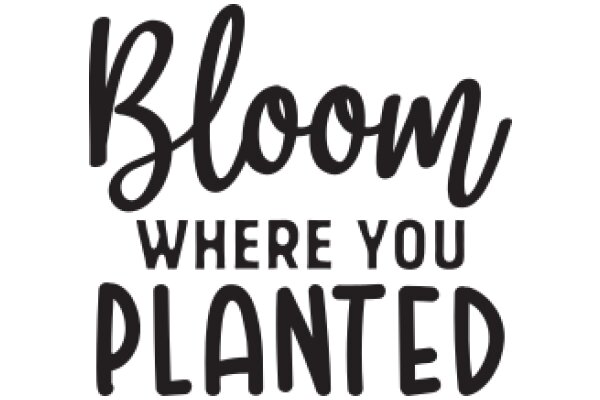 Bloom Where You Planted: A Guide to Personal Growth