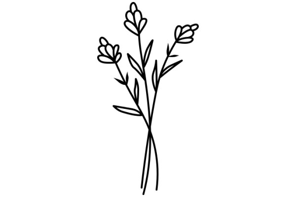 Simplistic Line Drawing of a Flowering Plant