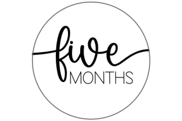 Five Months: A Graphic Design