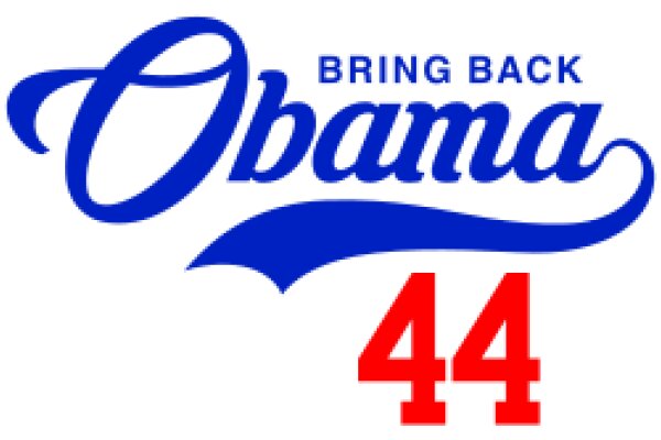 Bring Back Obama: A Political Campaign Poster