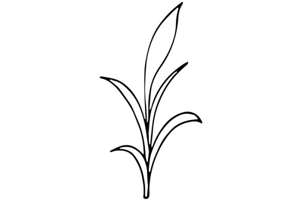 Stylized Line Drawing of a Flower