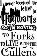 A Letter from Hogwarts: A Journey to Forks