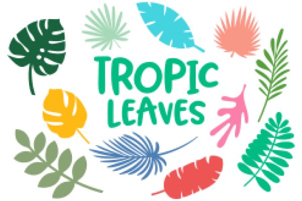 Tropical Leaves: A Collection of Nature's Artistry