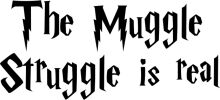 The Muggle Struggle: A Journey Through the Wizarding World