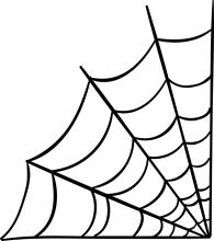 Black and White Spider Web