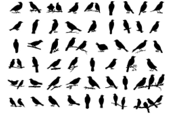 A Silhouette Gallery of Birds in Flight and Perched