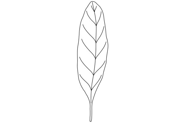 Simplistic Line Drawing of a Leaf